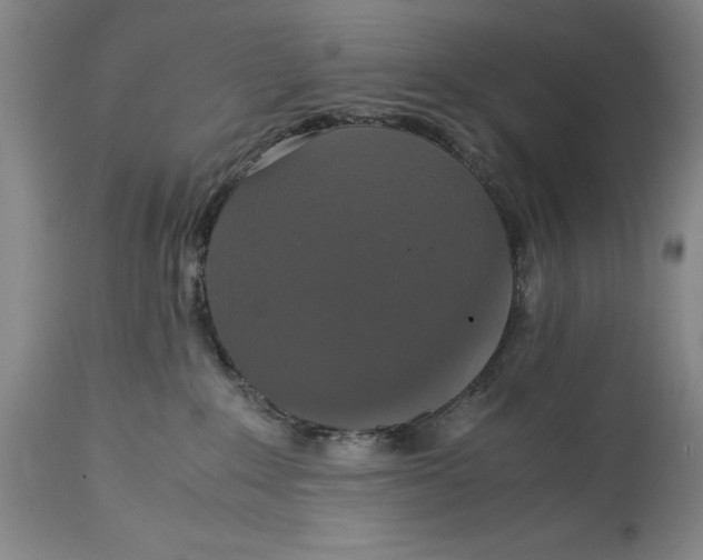 X0000114620235200911101221
