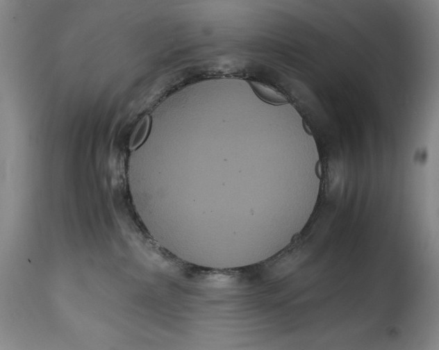 X0000114620236200911101221