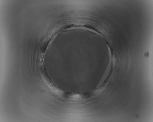 X0000114620237200911101221