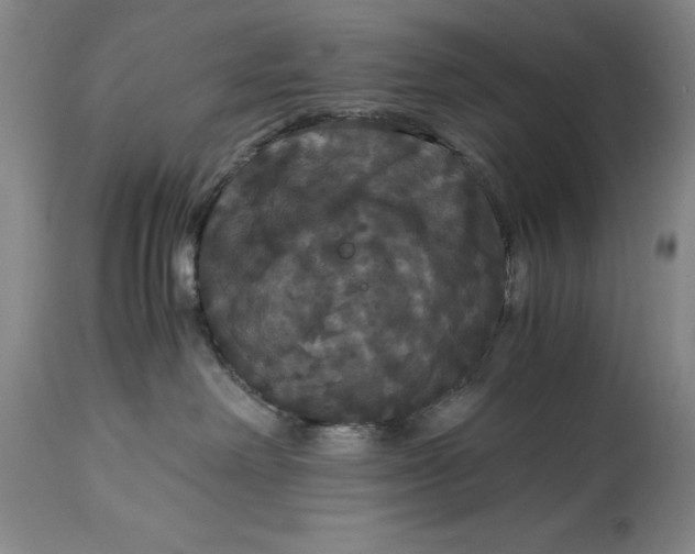 X0000114620238200911101221