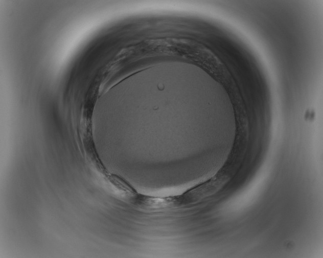 X0000114620239200911101221
