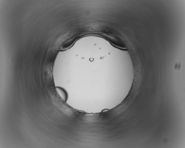 X0000114620240200911101221