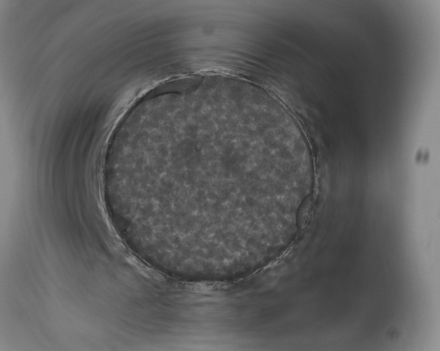X0000114620241200911101220