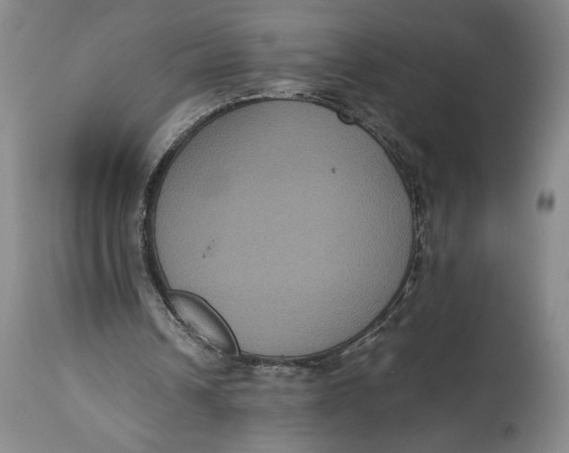 X0000114620242200911101220