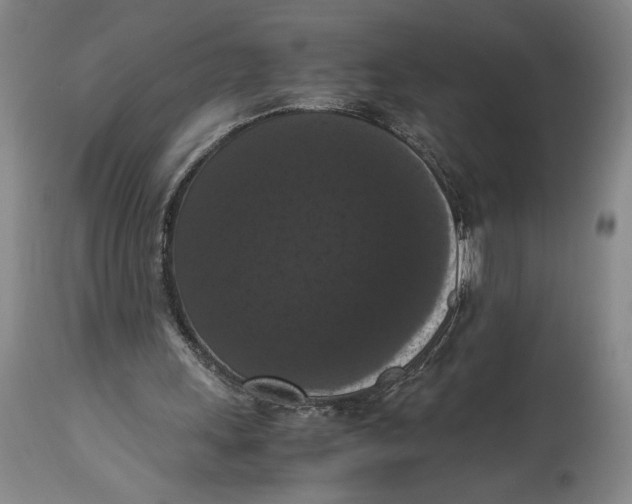 X0000114620243200911101220