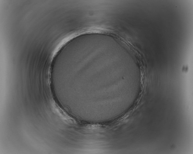 X0000114620244200911101220