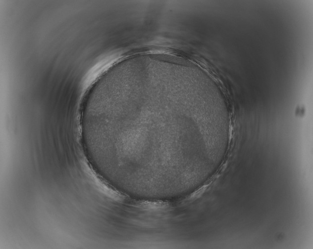 X0000114620245200911101220