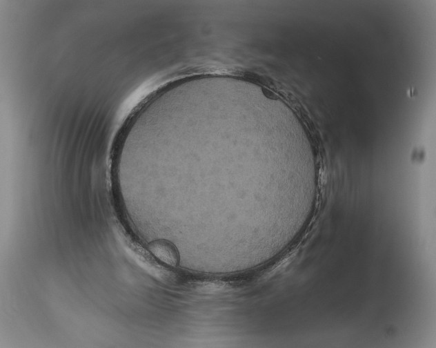 X0000114620246200911101220