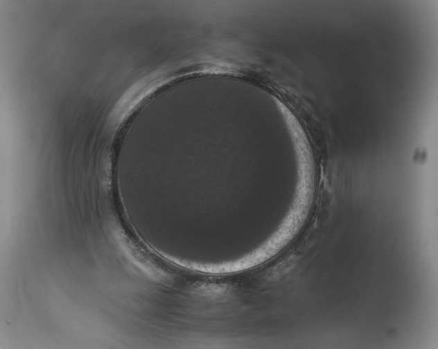 X0000114620247200911101220