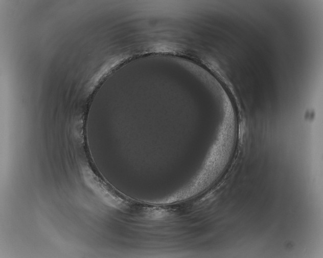 X0000114620249200911101220