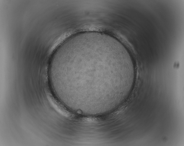 X0000114620250200911101220