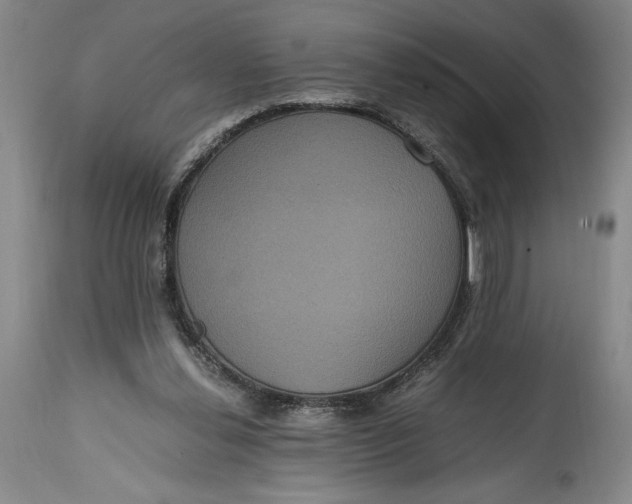 X0000114620252200911101220