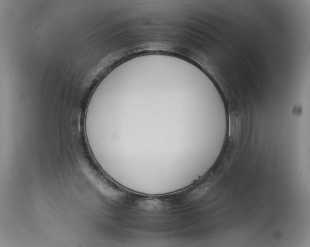 X0000114620253200911101220