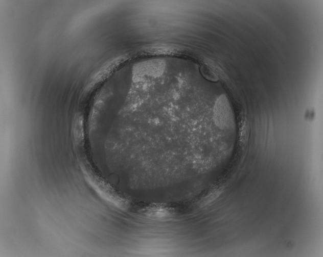 X0000114620254200911101220