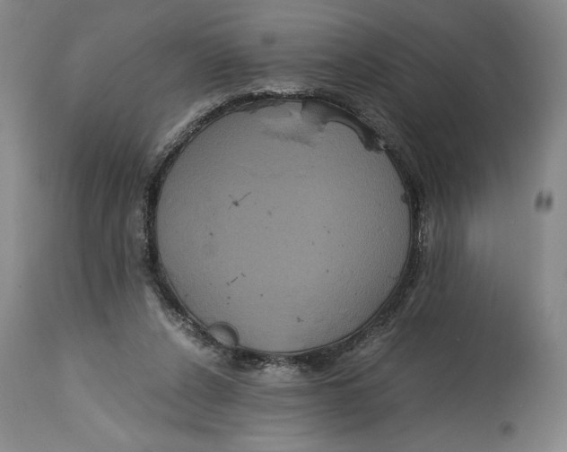 X0000114620256200911101220