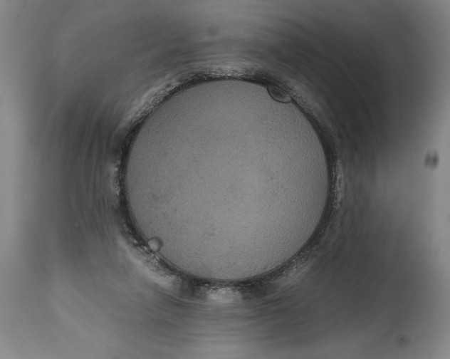 X0000114620258200911101220