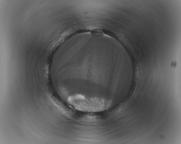 X0000114620260200911101220