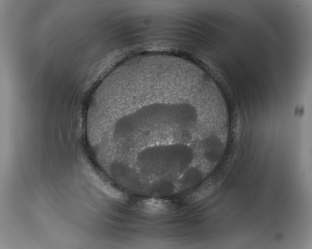 X0000114620261200911101220