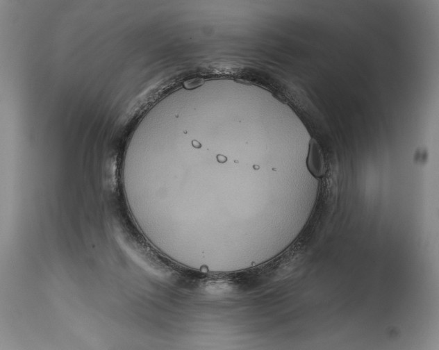 X0000114620262200911101221