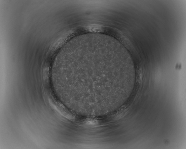 X0000114620263200911101221