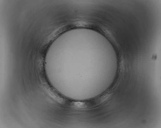 X0000114620265200911101221