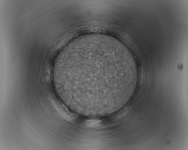 X0000114620266200911101221