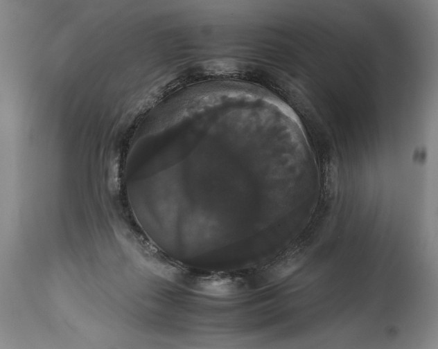 X0000114620267200911101221
