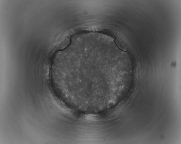 X0000114620268200911101221