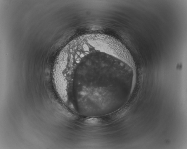 X0000114620269200911101221