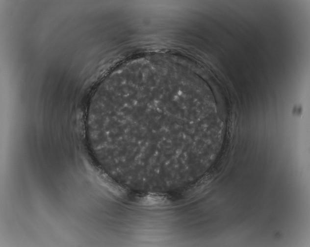 X0000114620270200911101221