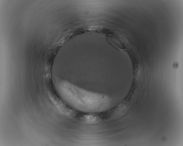 X0000114620272200911101221