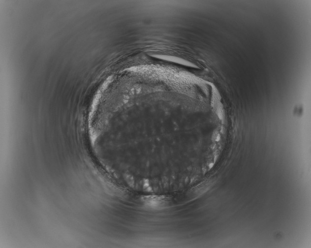 X0000114620273200911101221