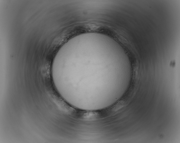 X0000114620274200911101221