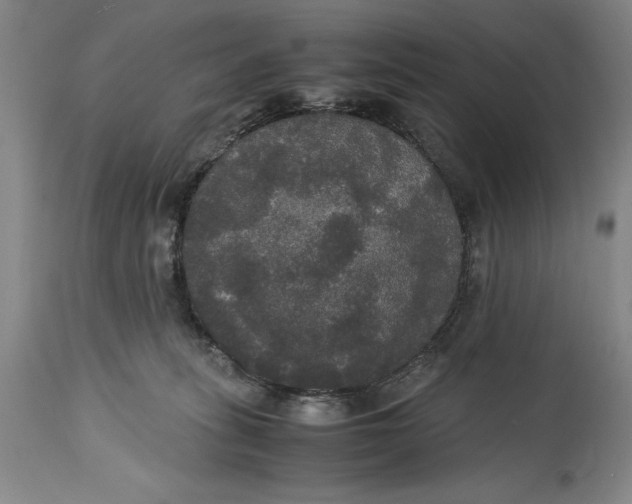 X0000114620275200911101221