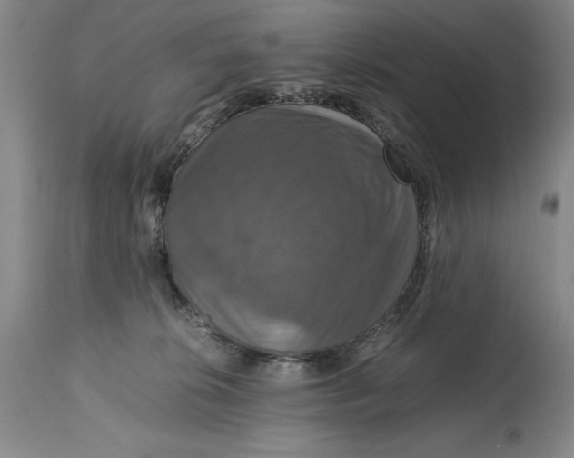 X0000114620276200911101221