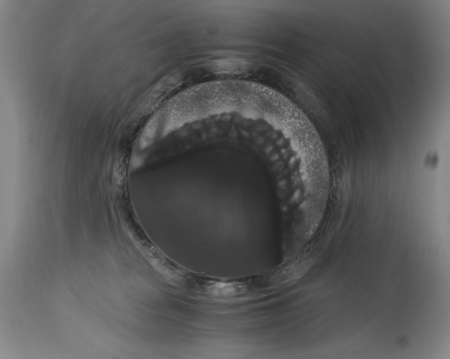 X0000114620277200911101221