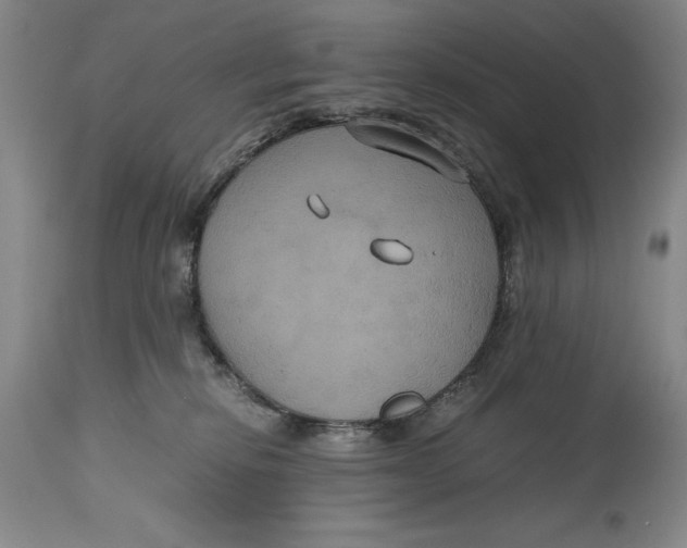 X0000114620278200911101221