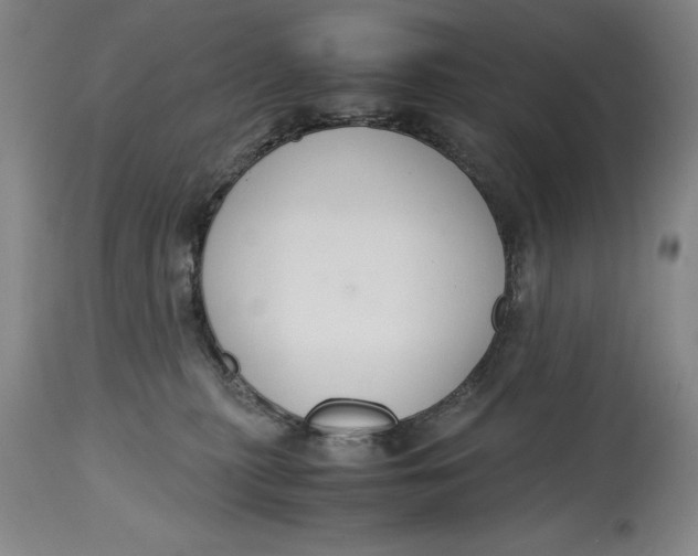 X0000114620279200911101221
