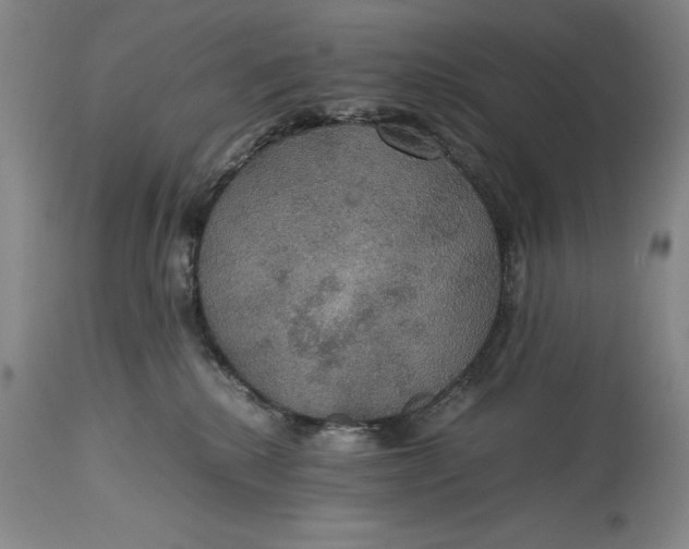 X0000114620280200911101221