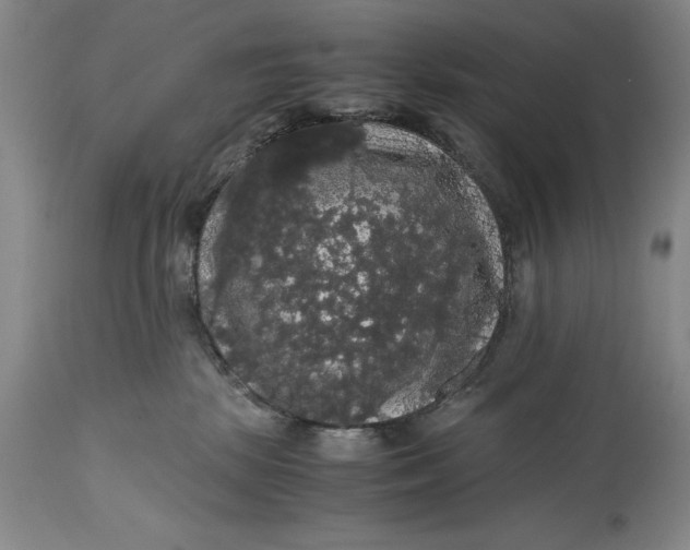 X0000114620281200911101221