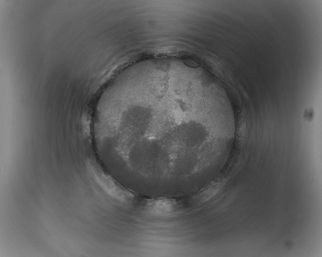 X0000114620282200911101221