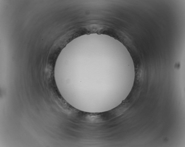 X0000114620283200911101221