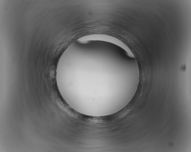 X0000114620284200911101221