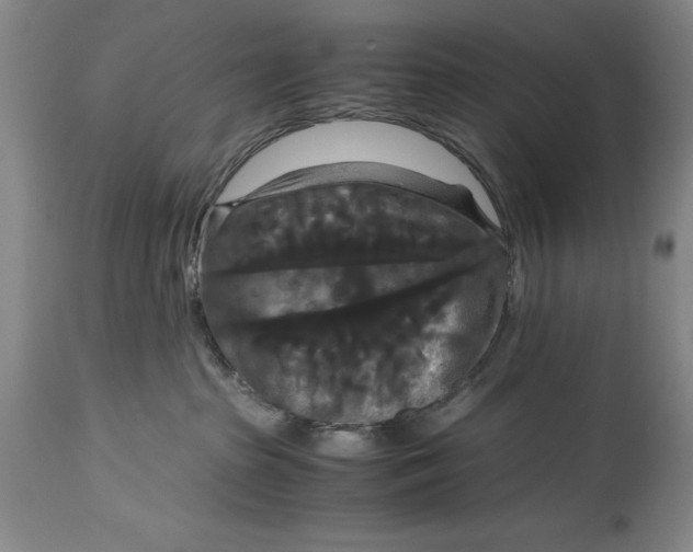 X0000114620285200911101221