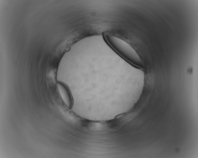 X0000114620286200911101221