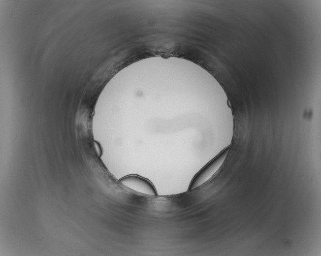 X0000114620287200911101221