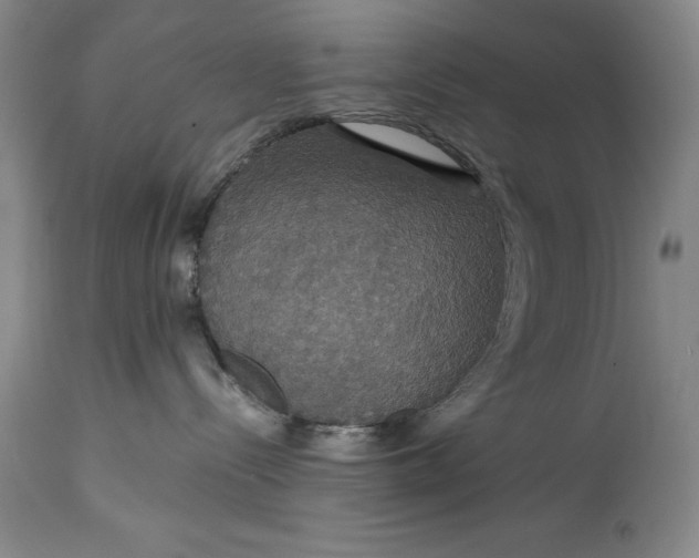 X0000114620288200911101221