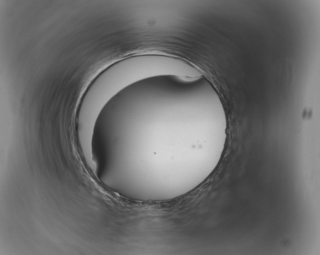 X0000114620289200911101220