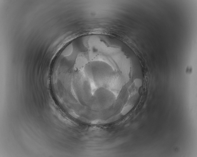 X0000114620290200911101220