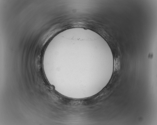X0000114620291200911101220